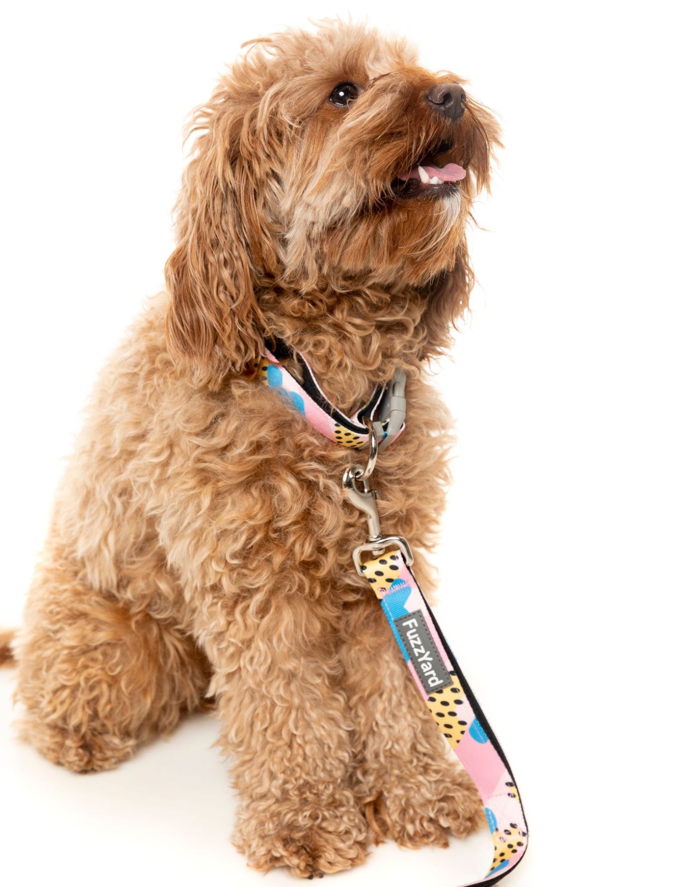 FuzzYard Jiggy Dog Leash - Durable & Adjustable Pet Lead for Small & Medium Dogs - Perfect for Walking, Training & Outdoor Adventures