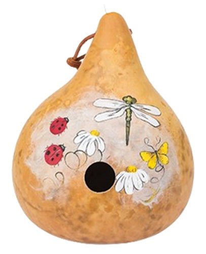 Hand-Painted Amish Gourd Birdhouse with Ladybugs, Dragonflies & Flowers - Unique Garden Decor for Outdoor Wildlife Habitat