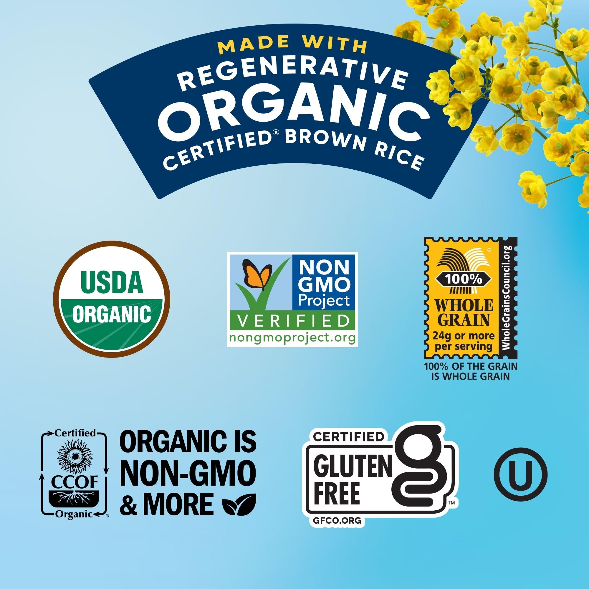 Lundberg Organic Rice Cake Minis - Original Sea Salt Flavor | Gluten-Free Vegan Snacks for Adults & Kids | Healthy Mini Rice Cakes for On-the-Go, School Lunches & Party Snacking | 5 Oz Pack