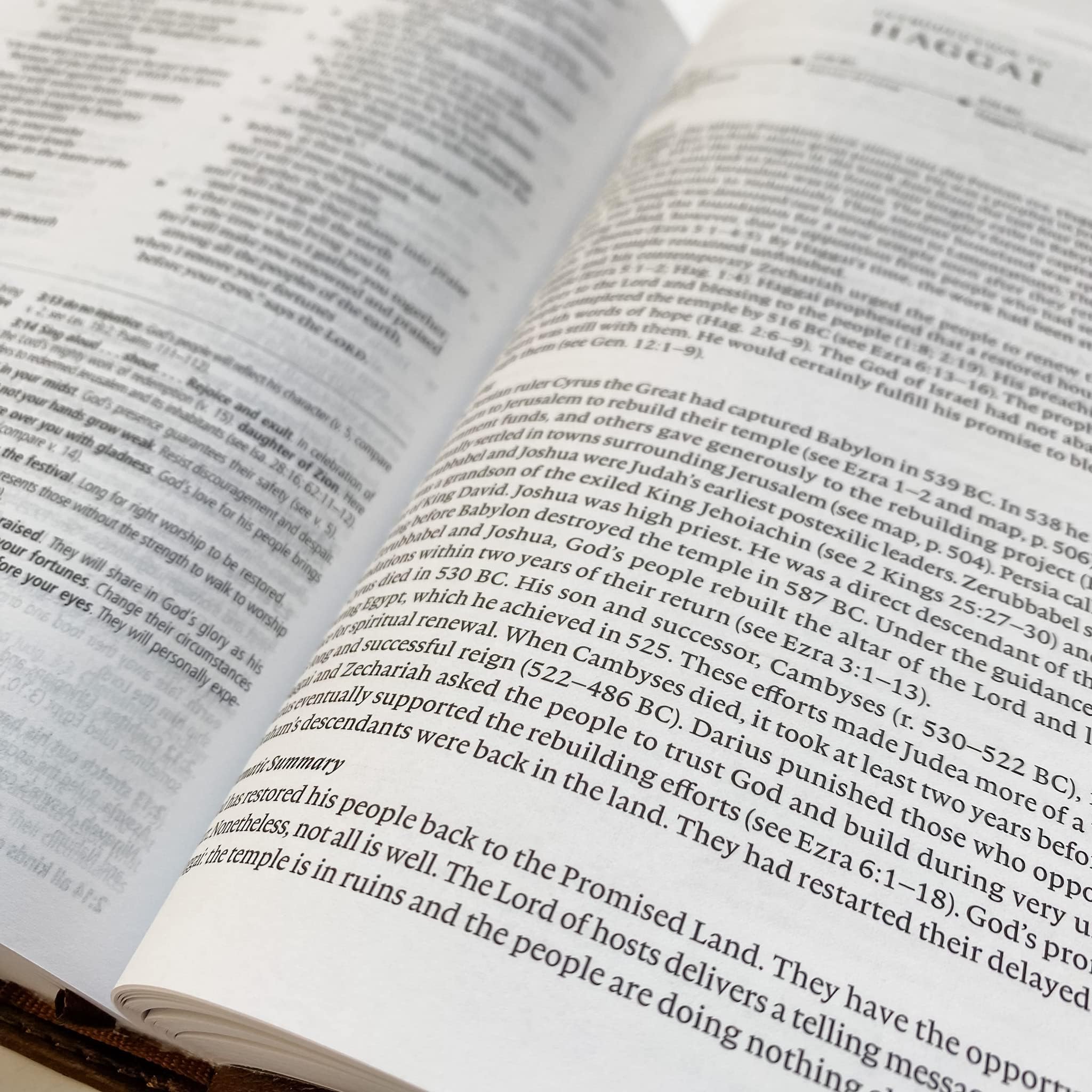 ESV Concise Study Bible - Brown Genuine Leather, Hand Lettered & Laser Engraved with Proverbs 28:1, Custom Name Personalization Available - Perfect Christian Gift for Baptism, Wedding, Birthday, Graduation - Ideal for Bible Study, Church Services & Spiritual Growth