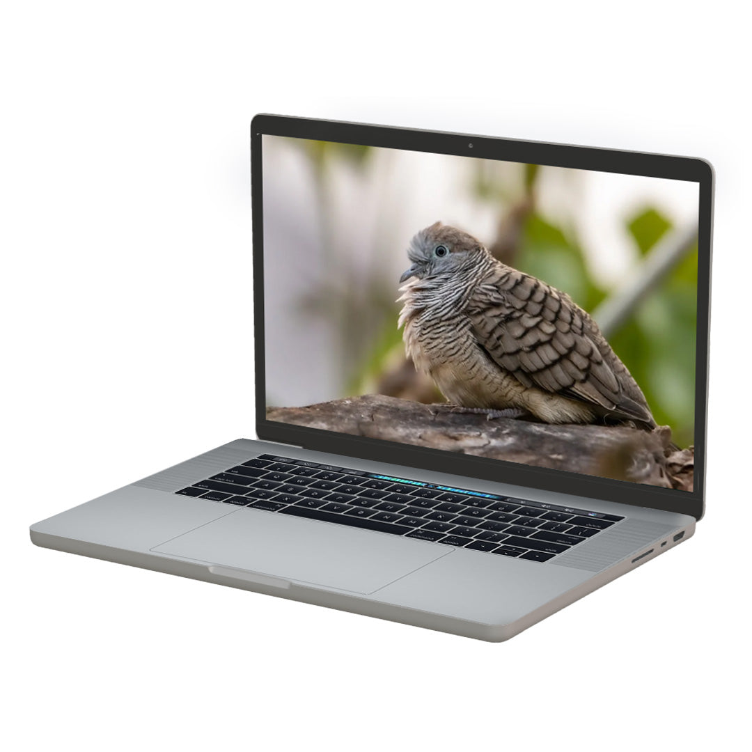 Apple MacBook Pro 15-inch 2018 with Touch Bar - Intel Core i7, 16GB RAM, 1TB SSD - Powerful Laptop for Graphic Design, Video Editing & Business Professionals