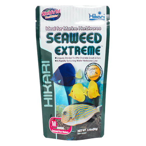 Premium Hikari Seaweed Extreme Pellet Fish Food - Nutrient-Rich Algae Diet for Saltwater & Reef Aquariums - Ideal for Tangs, Angelfish & Herbivorous Marine Fish