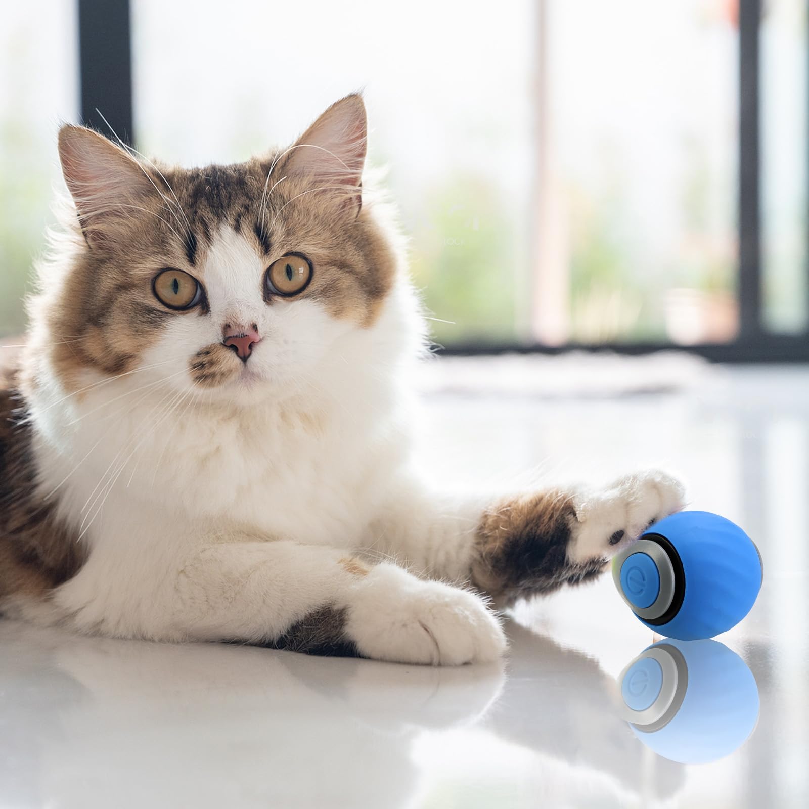 Speedy Tail 2.0 Interactive Cat Toy - 2 Pack USB Rechargeable Smart Ball with Adjustable Speeds & Replaceable Tail - Best Automatic Moving Toy for Indoor Cats - Perfect for Playtime, Exercise and Boredom Relief