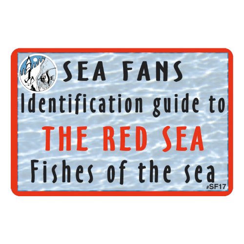 Red Sea