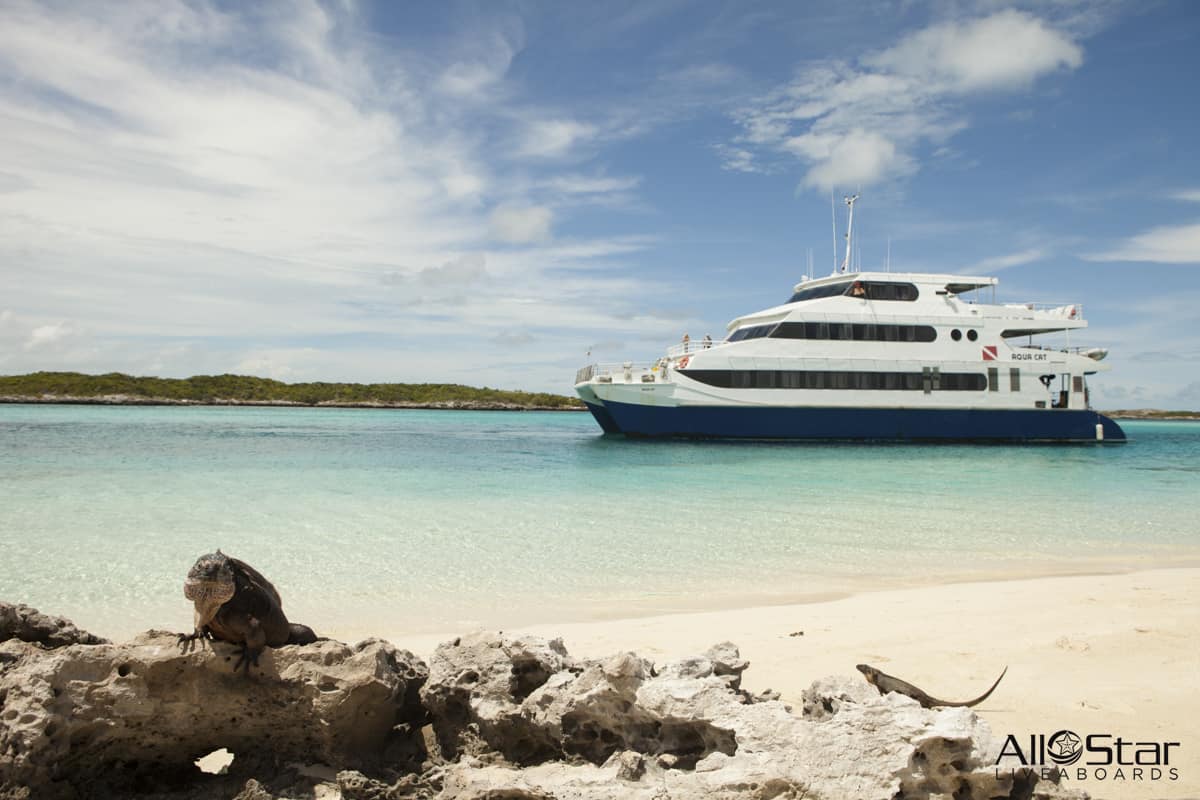 Bahamas Aqua Cat Luxury Catamaran Cruise - October 18-25, 2025 | Caribbean Sailing Vacation for Couples & Groups