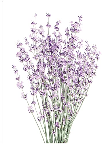 Lavender Bunch