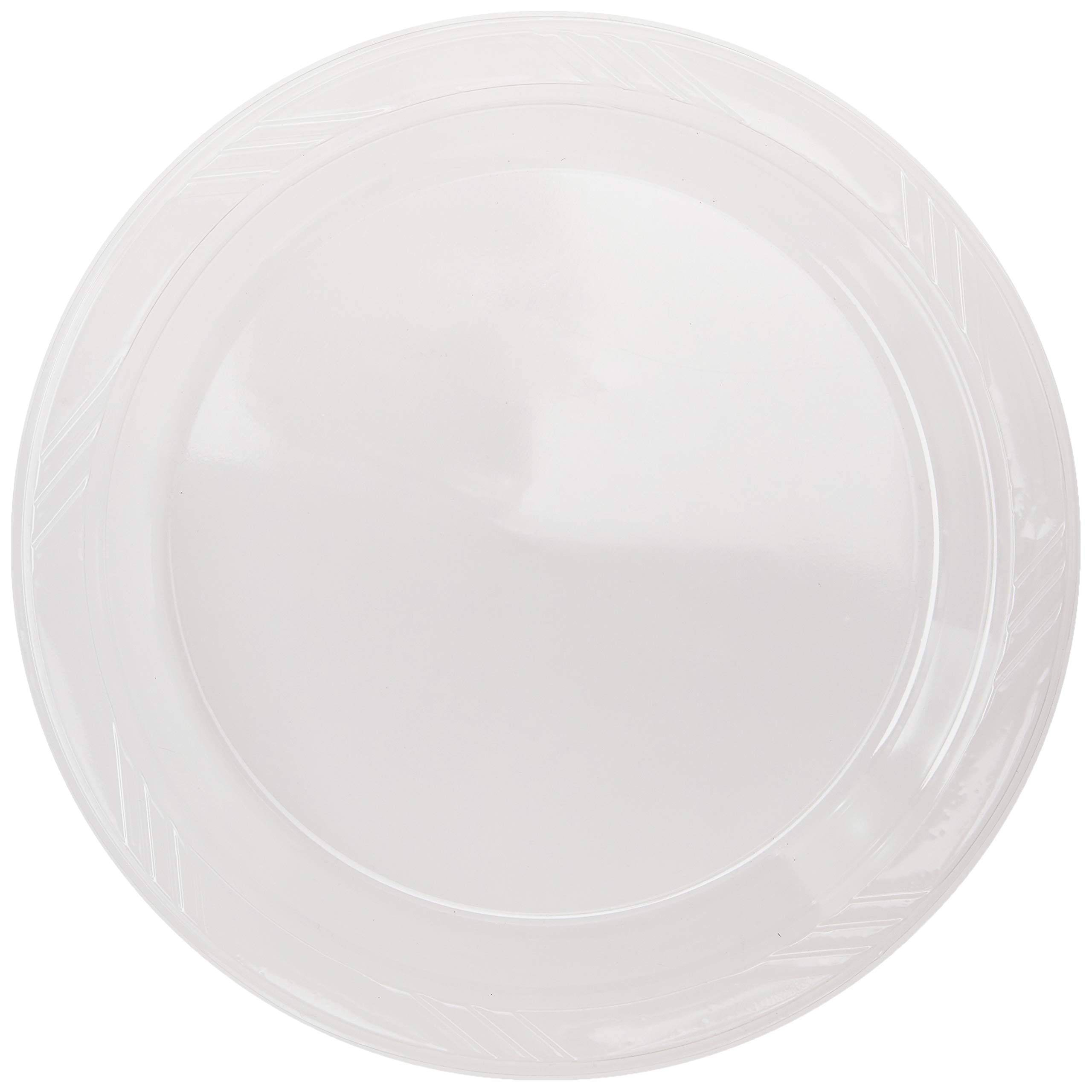 Clear Plastic Plates 10.25