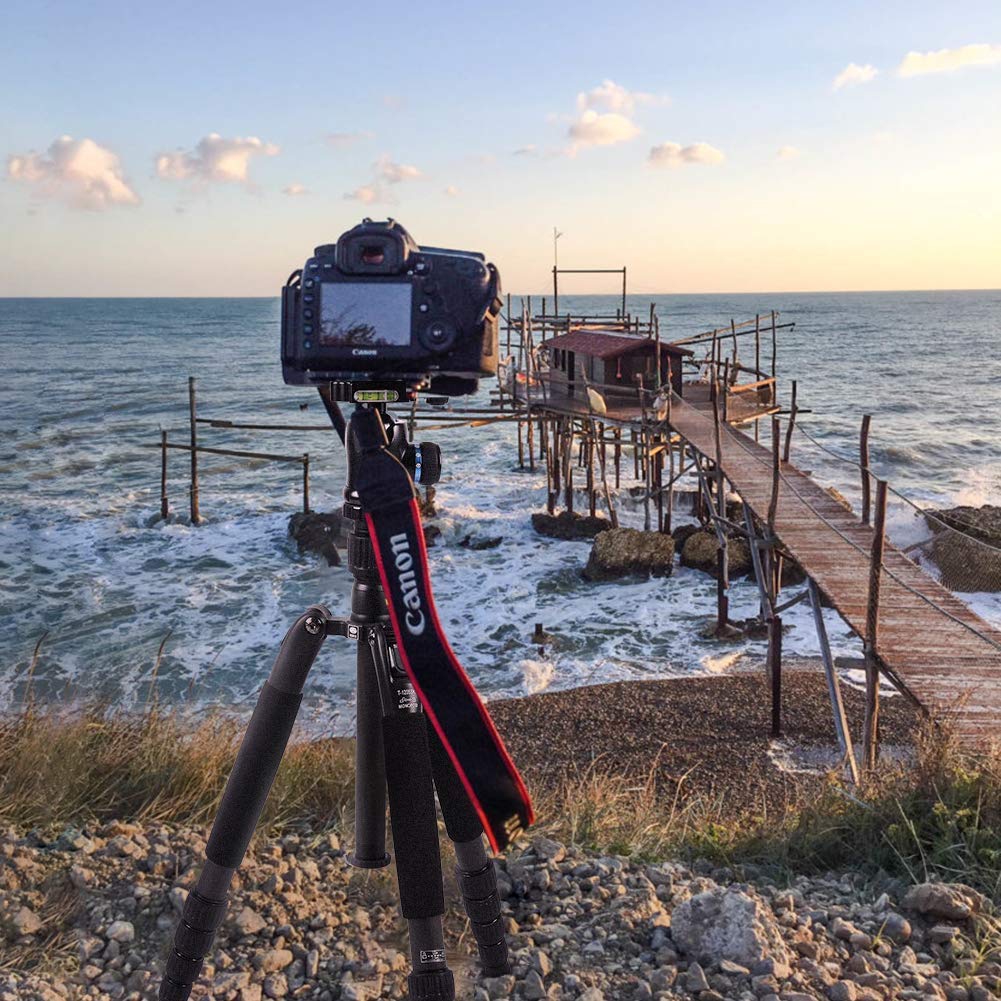 Sirui T-1205SK Carbon Fiber Travel Tripod & Monopod - Lightweight Compact Camera Stand for Photography, Vlogging & Outdoor Adventures
