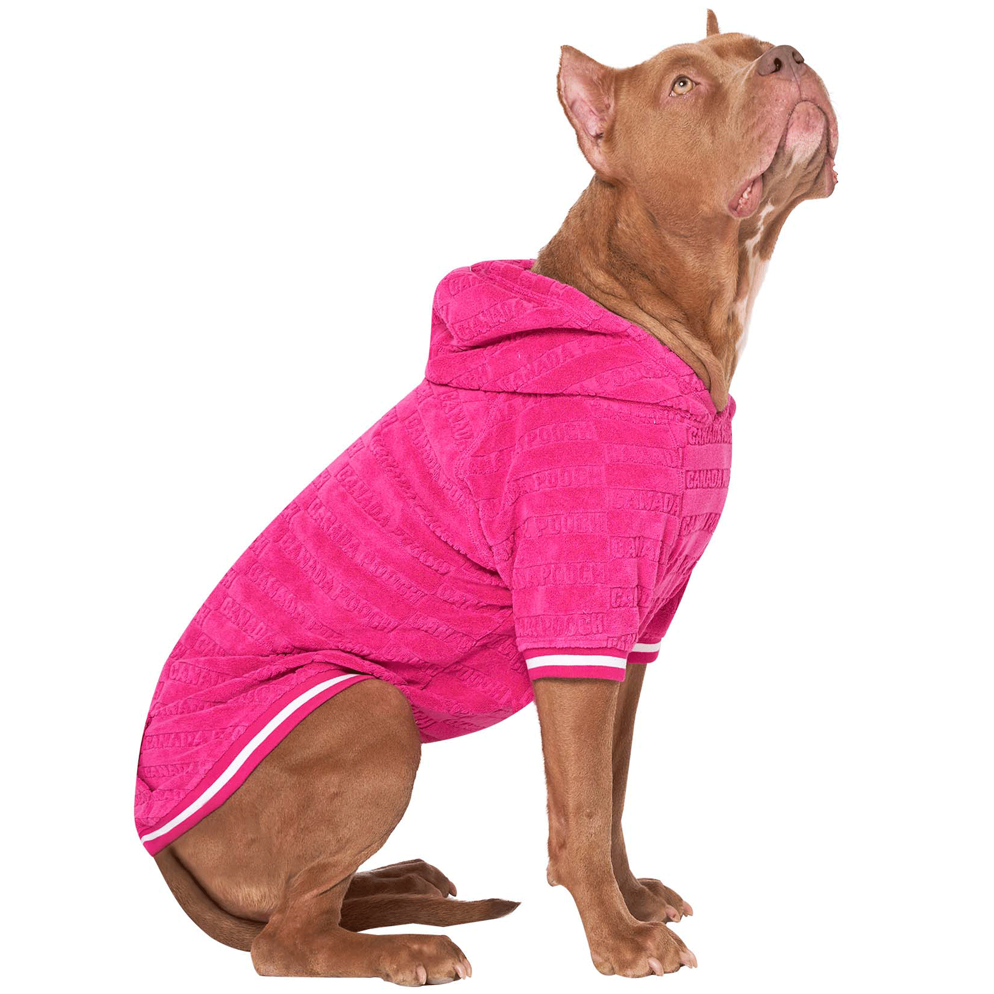 Canada Pooch Beach Bum Towel Hoodie for Dogs - Pink Dog Hooded Towel for Swimming, Bath & Outdoor Adventures - Quick Dry Pet Wear for Beach, Pool & Travel