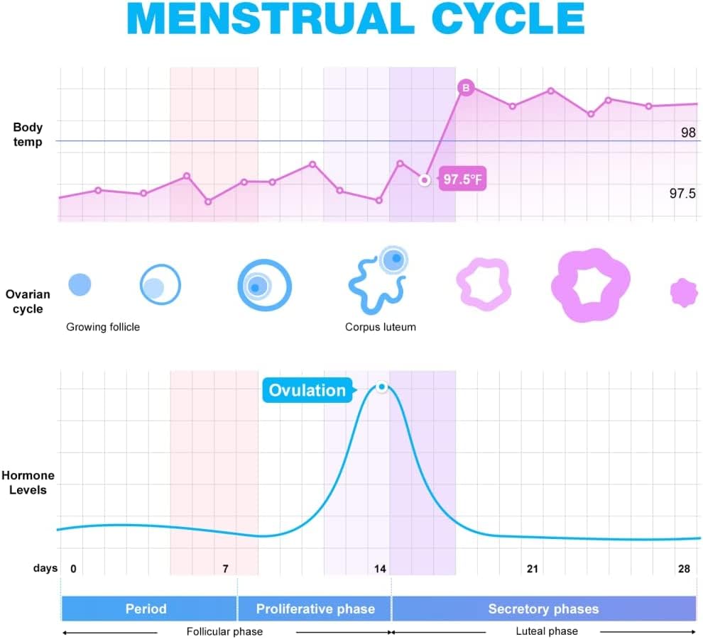 Easy@Home 100 Ovulation & 20 Pregnancy Test Strips with Cups - Accurate Fertility Predictor Kit for Women | LH & HCG Hormone Testing | TTC, Conception Tracking & Family Planning | Home Use & Doctor Recommended