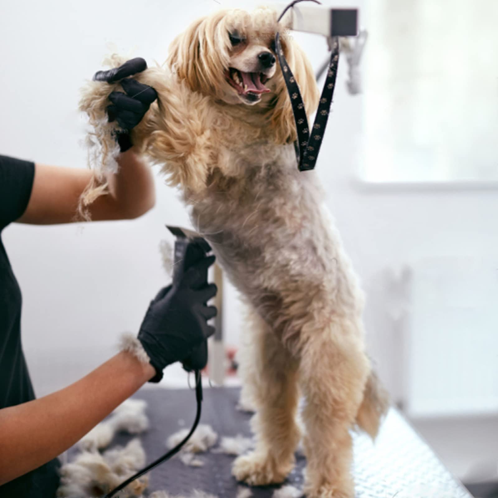 3PCS 40 Blades Dog Grooming Replacement Blades - Compatible with Andis Dog Clippers, Ceramic & Stainless Steel Blades for Professional Pet Grooming at Home or Salon