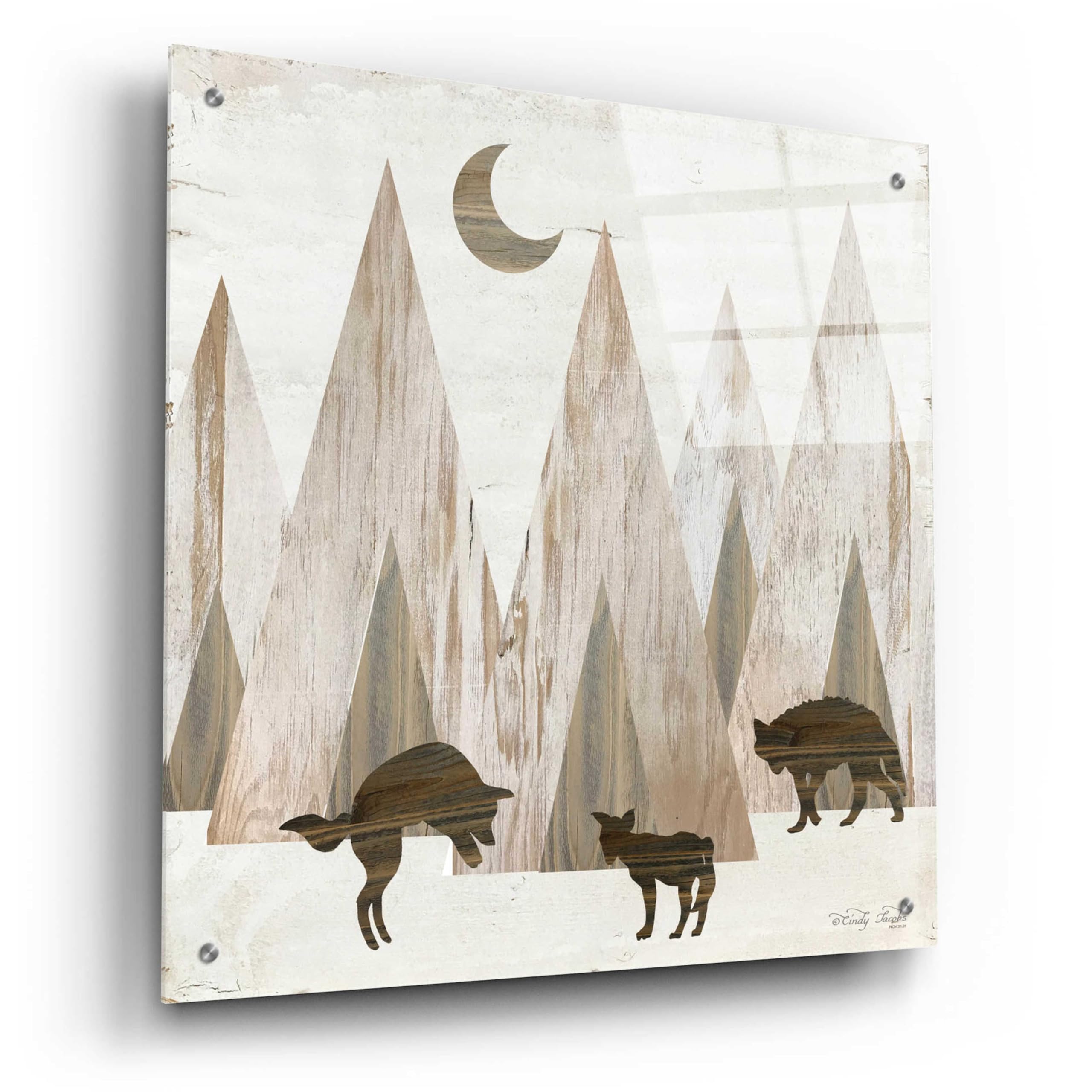 Epic 'Night Play' Acrylic Glass Wall Art by Cindy Jacobs - 24