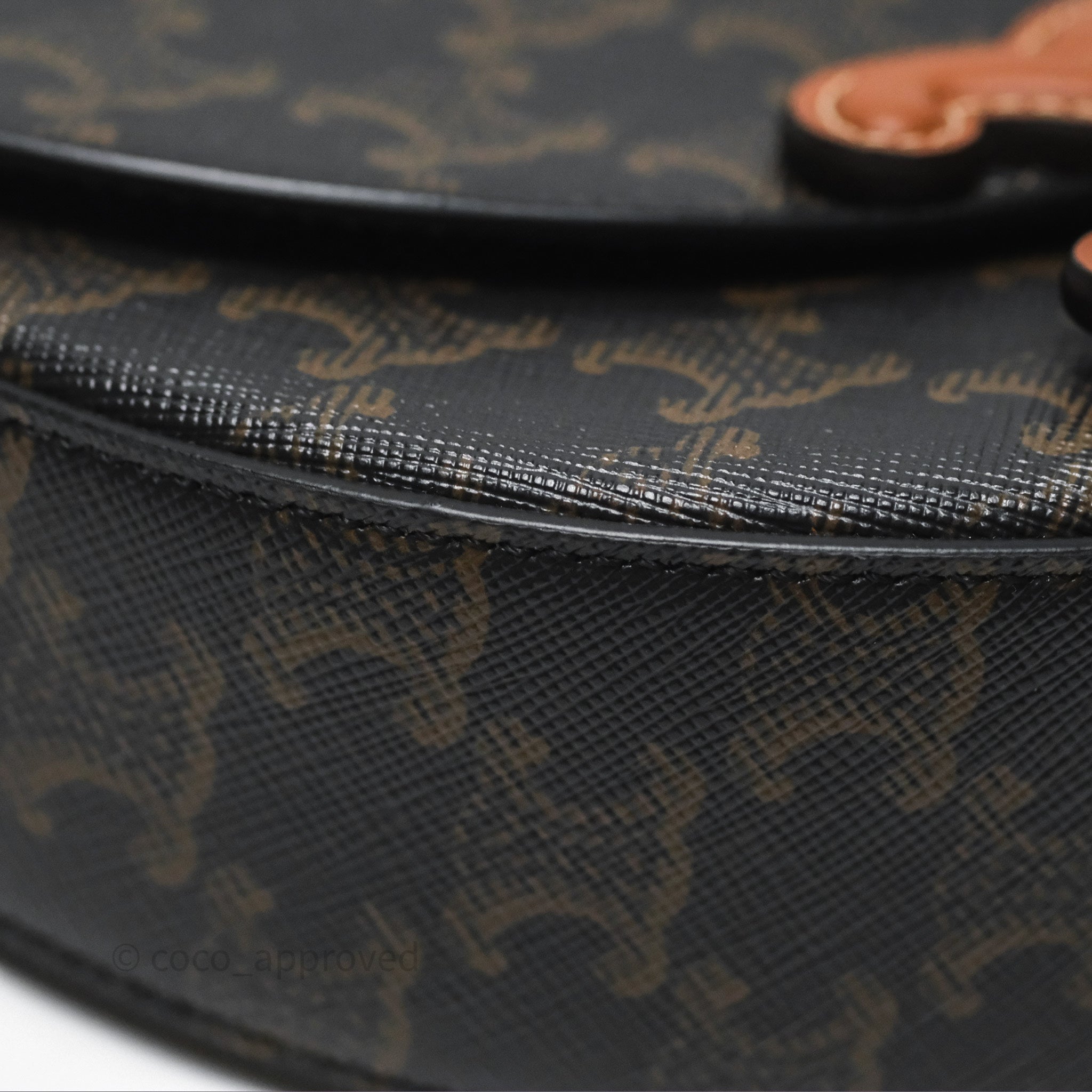 Celine Triomphe Canvas Leather Crossbody Bag in Tan - Stylish and Elegant for Work, Travel & Everyday Use