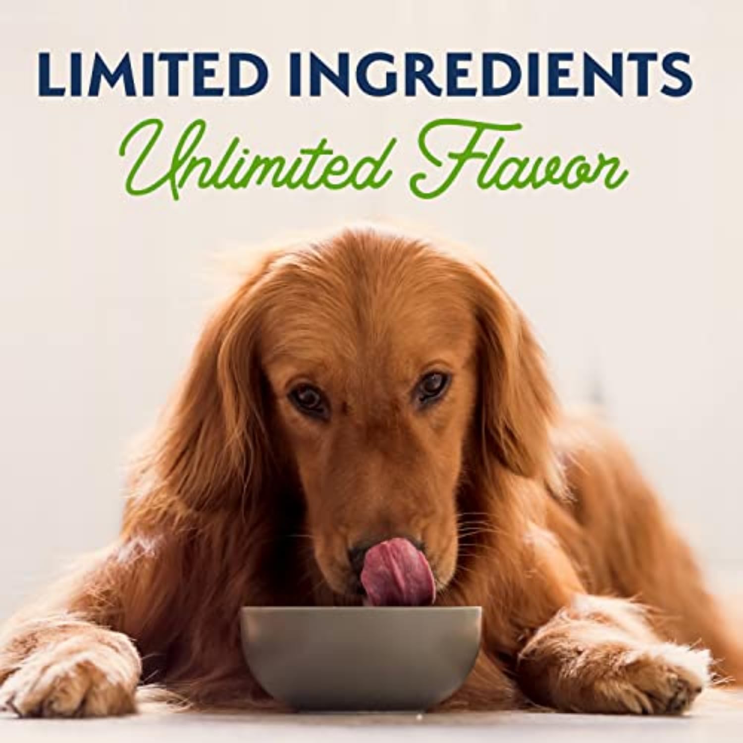 Natural Balance Limited Ingredient Adult Wet Canned Dog Food with Vegan Plant-Based Protein & Healthy Grains - Vegetarian Recipe, 13oz (Pack of 12) - Perfect for Dogs with Food Allergies or Sensitive Stomachs