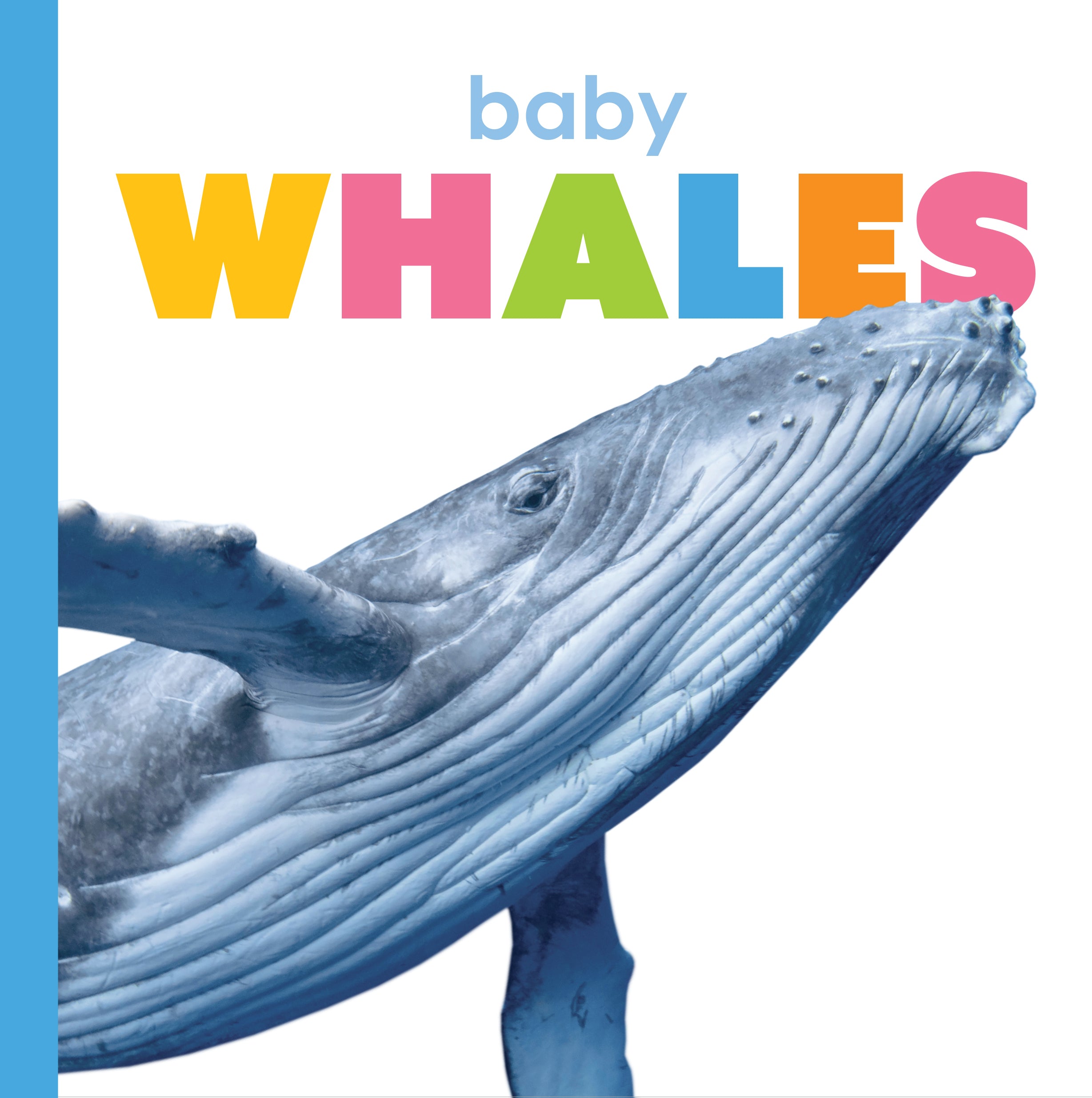 Baby Whales Book - ISBN 9781640263567 - Perfect for Kids' Ocean-Themed Learning & Bedtime Stories