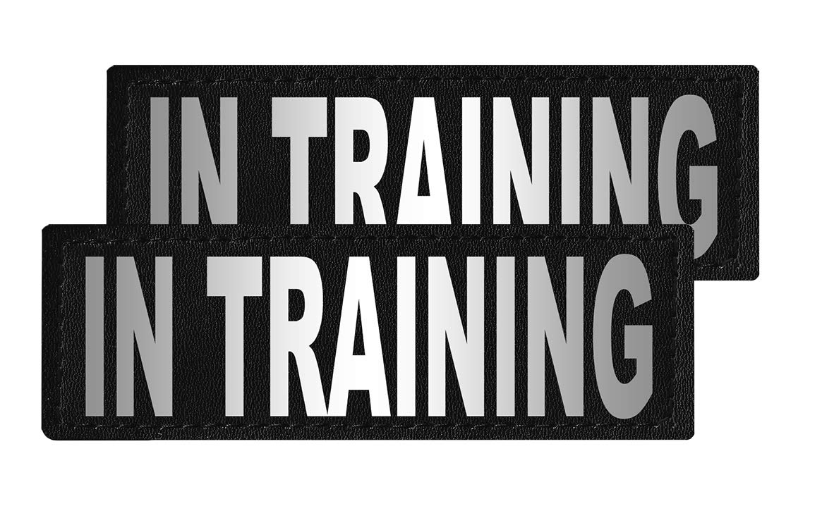 Dogline Removable 'In Training' Patches for Large & X-Large Dogs - Perfect for Service Dog Training & Public Outings