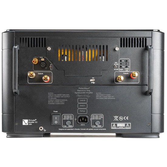 PS Audio BHK Mono 600 Watt Power Amplifier - High-End Mono Block Amp for Audiophile Home Theater & Stereo Systems