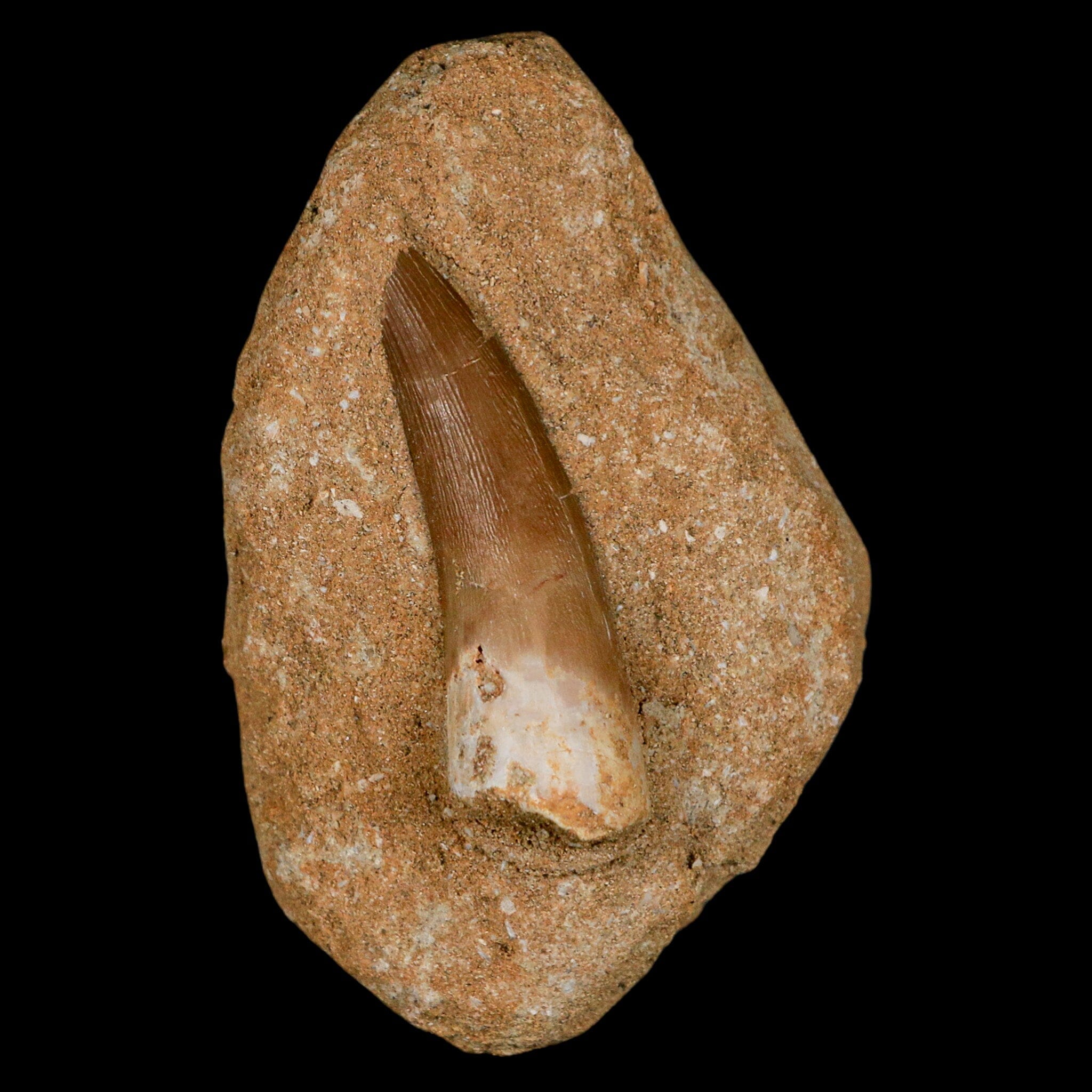 1.9