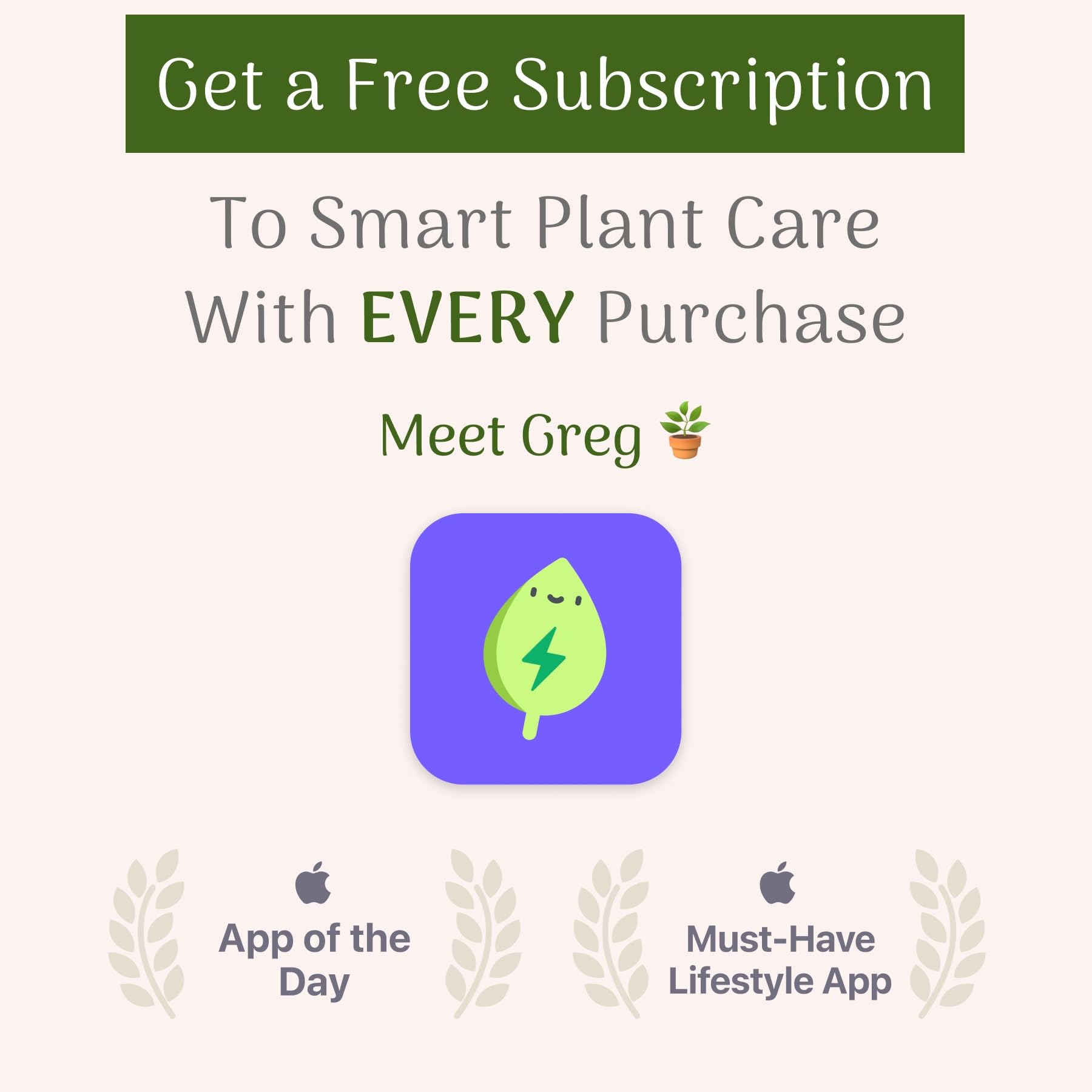American Plant Exchange Live Desana Lime Sweet Potato Vine Plant - 6