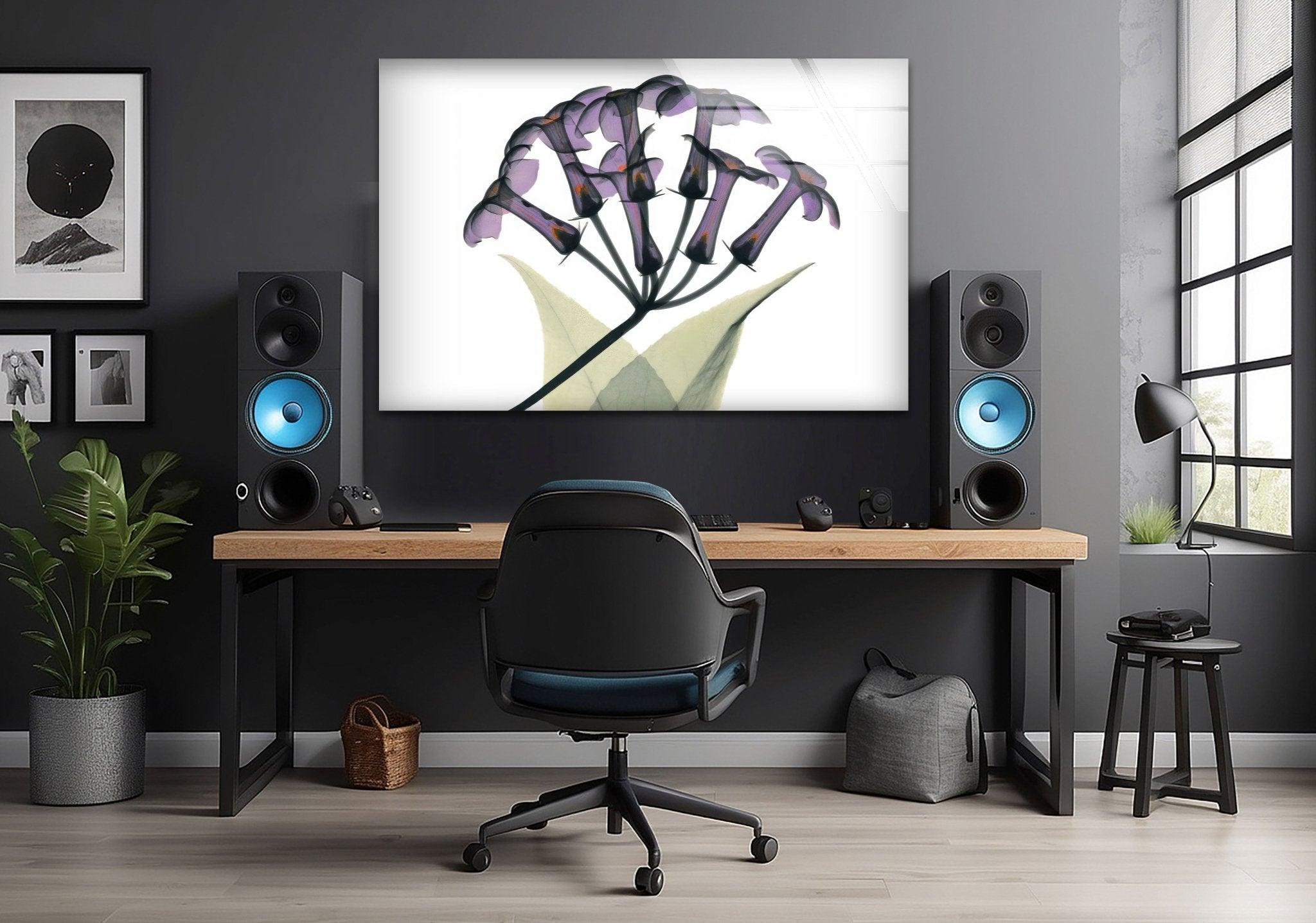 Albert Koetsier Xray Stephanotus Framed Glass Wall Art - Modern Abstract Decor for Living Room, Bedroom & Office