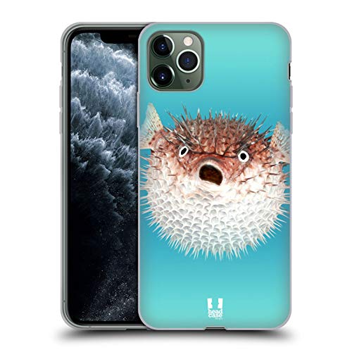 Frontal View Of Porcupinefish