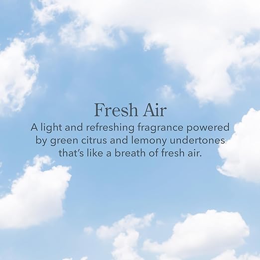 Fresh Air Wipes Set of 4 - Natural & Refreshing Cleaning Wipes for Home, Office & Travel - Perfect for Surfaces, Hands & Personal Hygiene