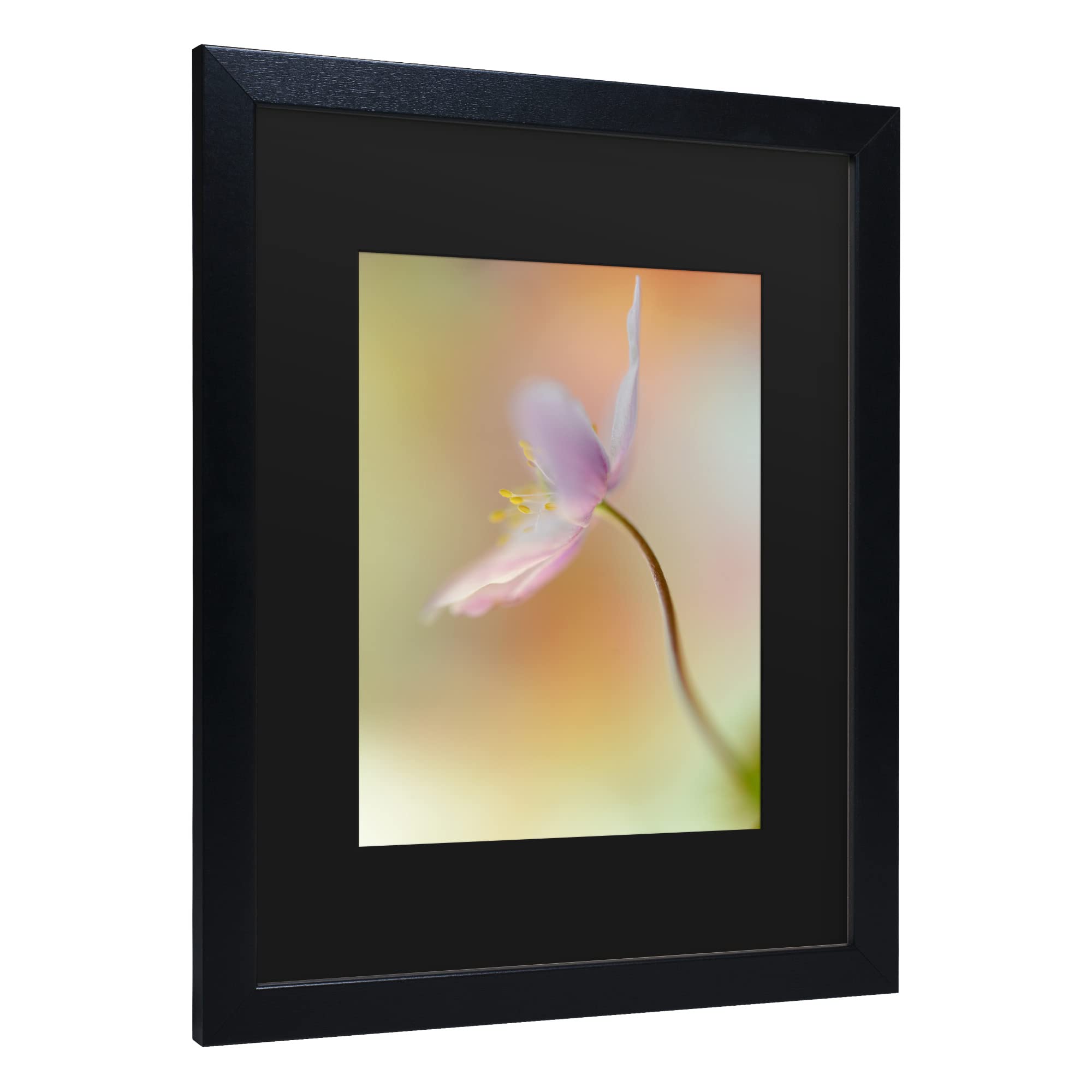 Heidi Westum 'Tender Spring Pink' Floral Canvas Wall Art Print - Modern Home Decor for Living Room, Bedroom & Office
