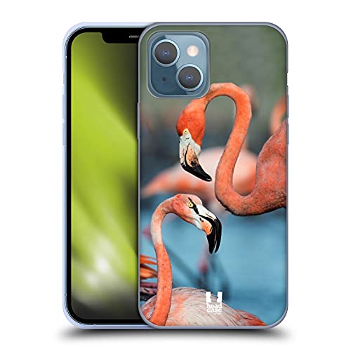 Two Great Flamingos