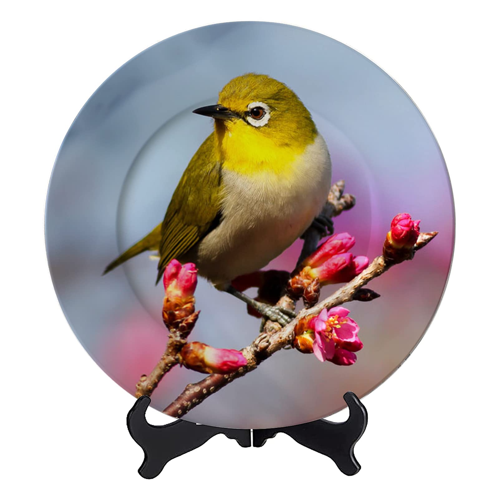 ACEND 7-inch Porcelain Decorative Dinner Plates for Pet Birds - Custom Design with Display Stand, Perfect for Salad, Party Kitchen, Dining Table & Home Decor | Ideal for Bird-Themed Parties, Pet Lover Gifts & Elegant Table Settings