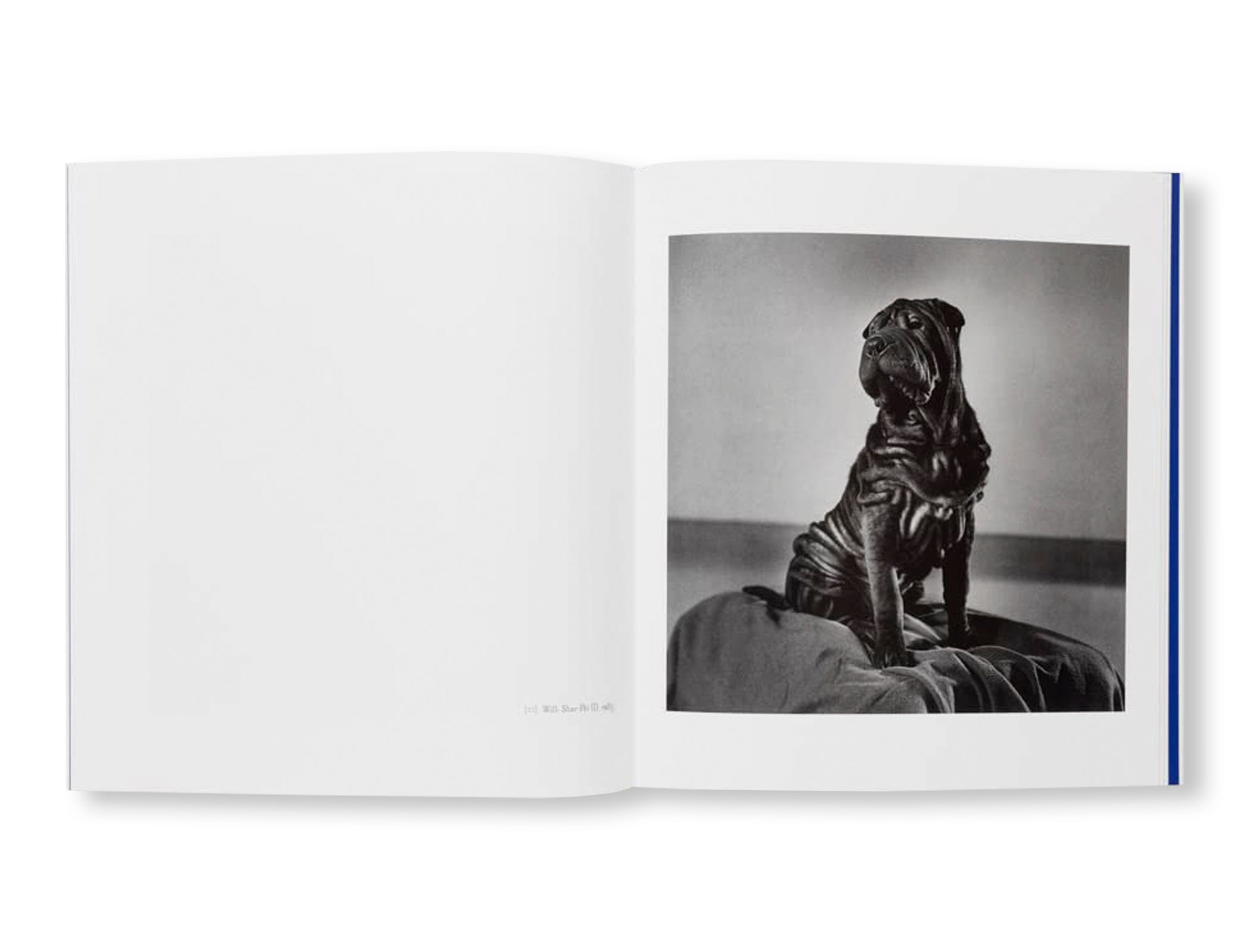 PETER HUJAR CURATED BY ELTON JOHN - Photography Book by Peter Hujar & Elton John - Perfect for Art Collectors and Photography Enthusiasts