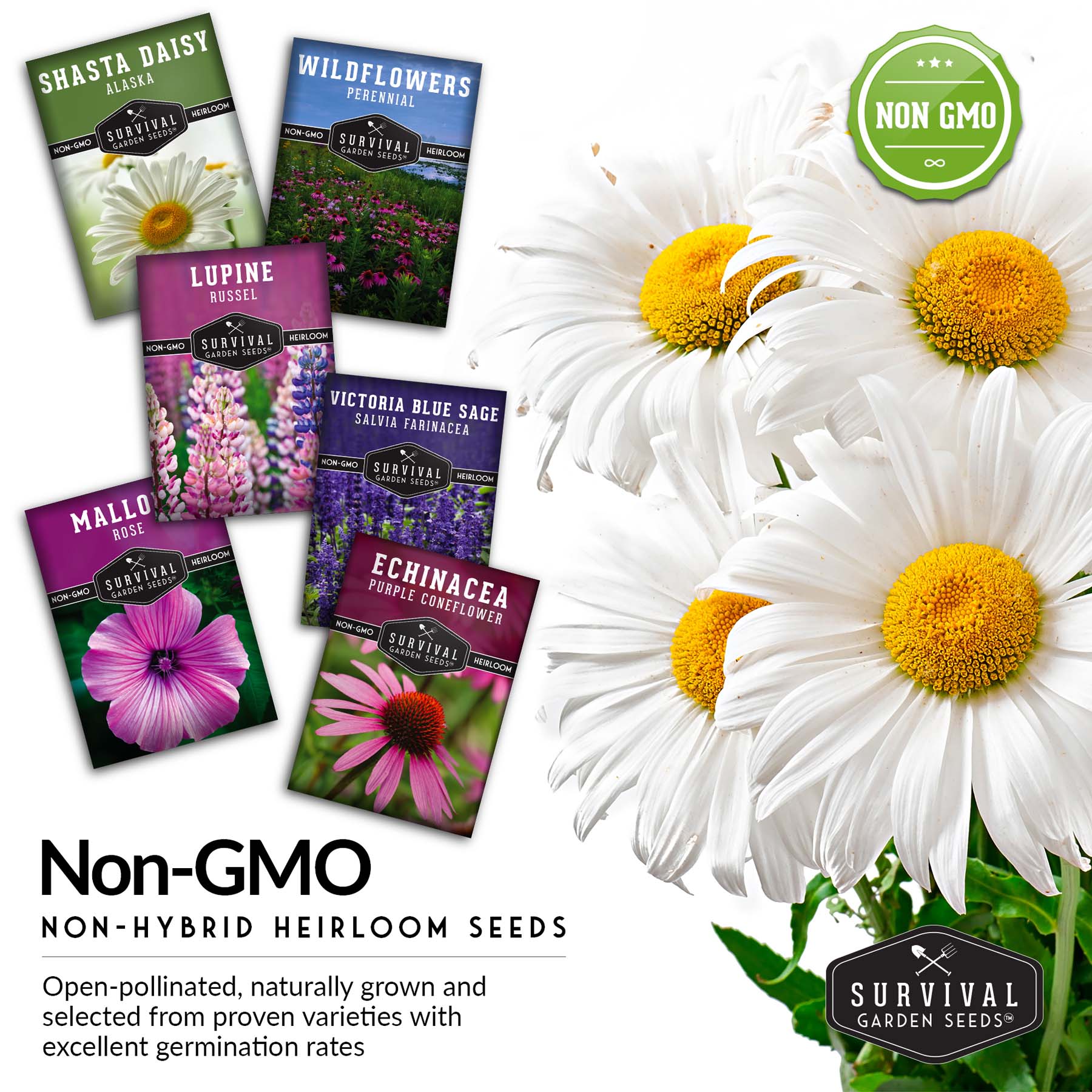 Perennial Flowers Mix - Shasta Daisy, Echinacea, Russell Lupine, Rose Mallow & Blue Sage Wildflower Seeds | Long-Lasting Garden Blooms for Borders, Pollinator Gardens & Landscaping