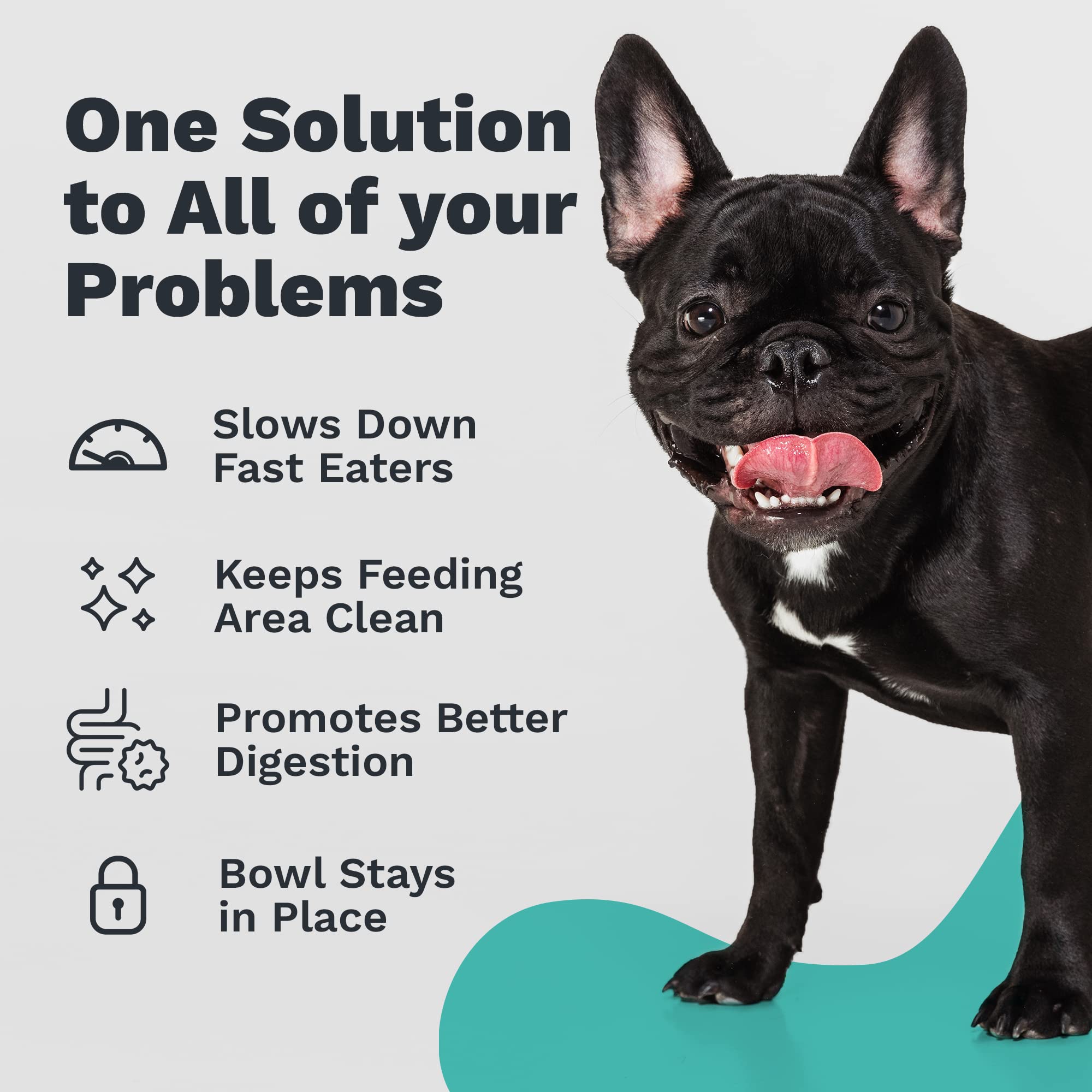 Premium Stainless Steel Elevated Dog Bowl - Slanted Design with Non-Slip Base for Mess-Free Feeding | Reduces Bloating & Improves Digestion | Food-Grade Safe Pet Dish for Medium Dogs | Perfect for Home, Travel & Outdoor Use | Ships from USA