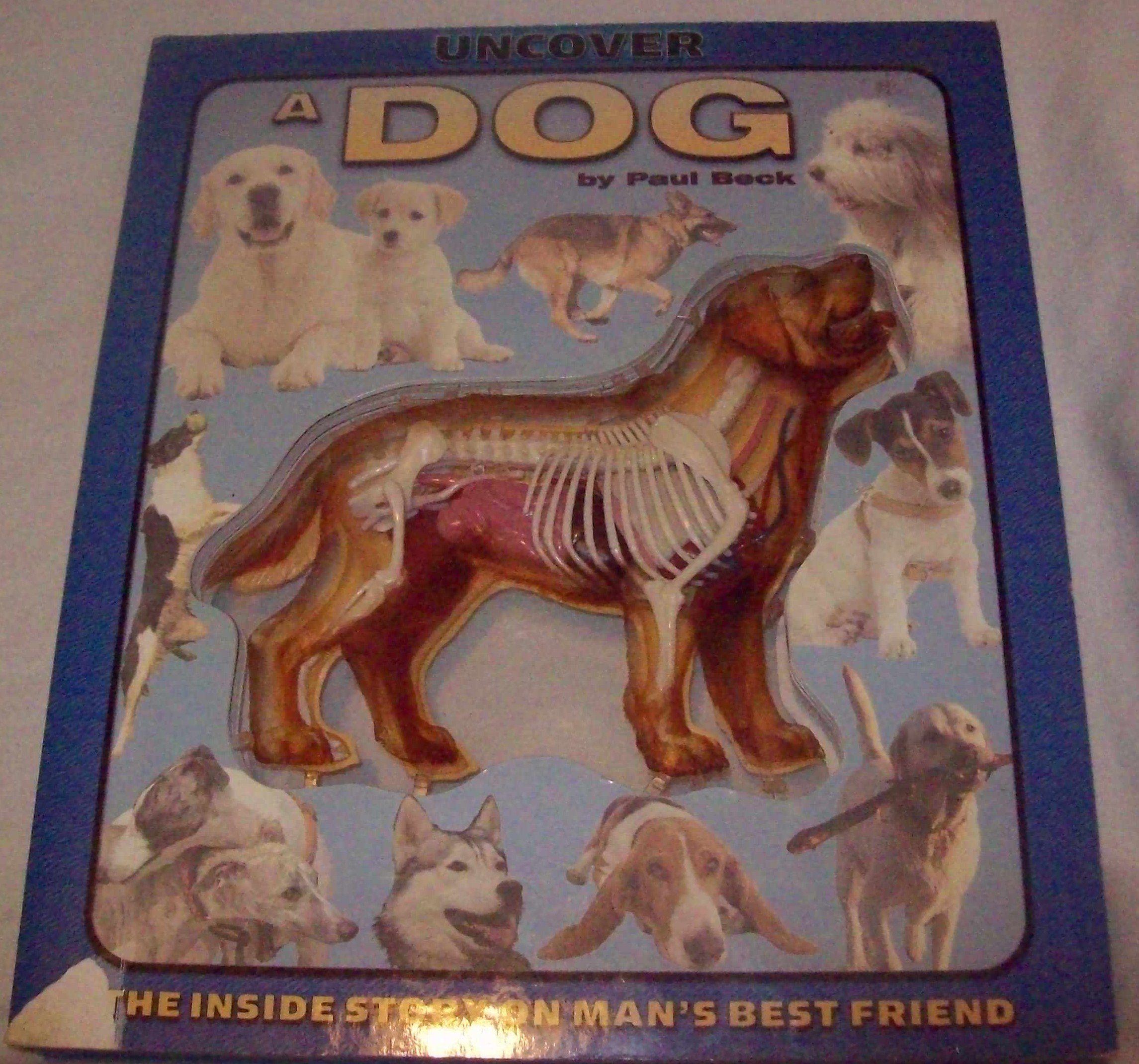 Uncover a Dog - Interactive Lift-the-Flap Children's Book | Educational Animal Discovery for Kids | Perfect for Storytime, Classroom Learning & Gift Giving