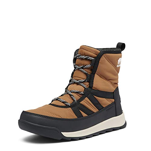 Elk Collection 2023 2024