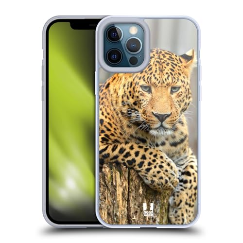Leopard Portrait