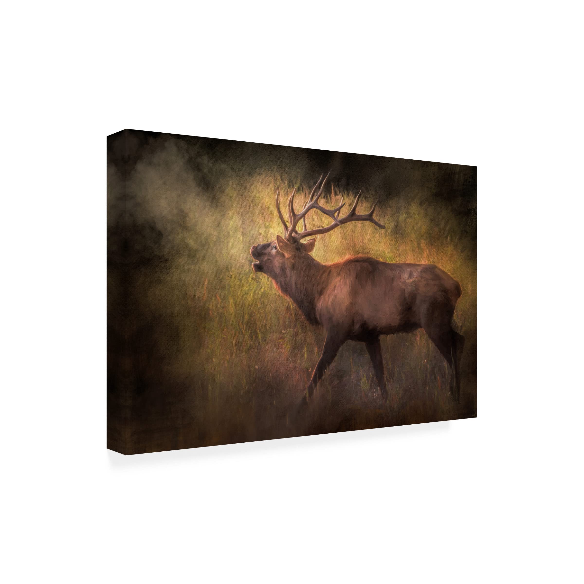 Trademark Fine Art 'Sound of The Season' by Jai Johnson - 30x47 Inch Canvas Wall Art - Perfect for Living Room, Bedroom & Office Decor