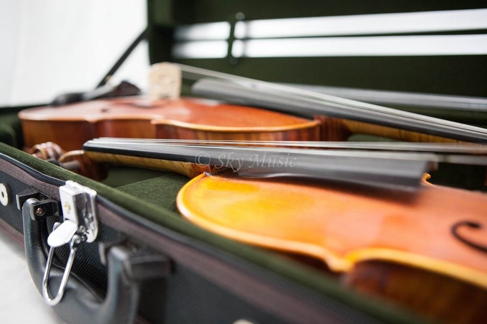 SKY Heavy Duty 4/4 Full Size Professional Double Violin Case - Black/Green | Durable Wooden Violin Storage for Performers & Travel | Perfect for Orchestra, Music School & Professional Violinists