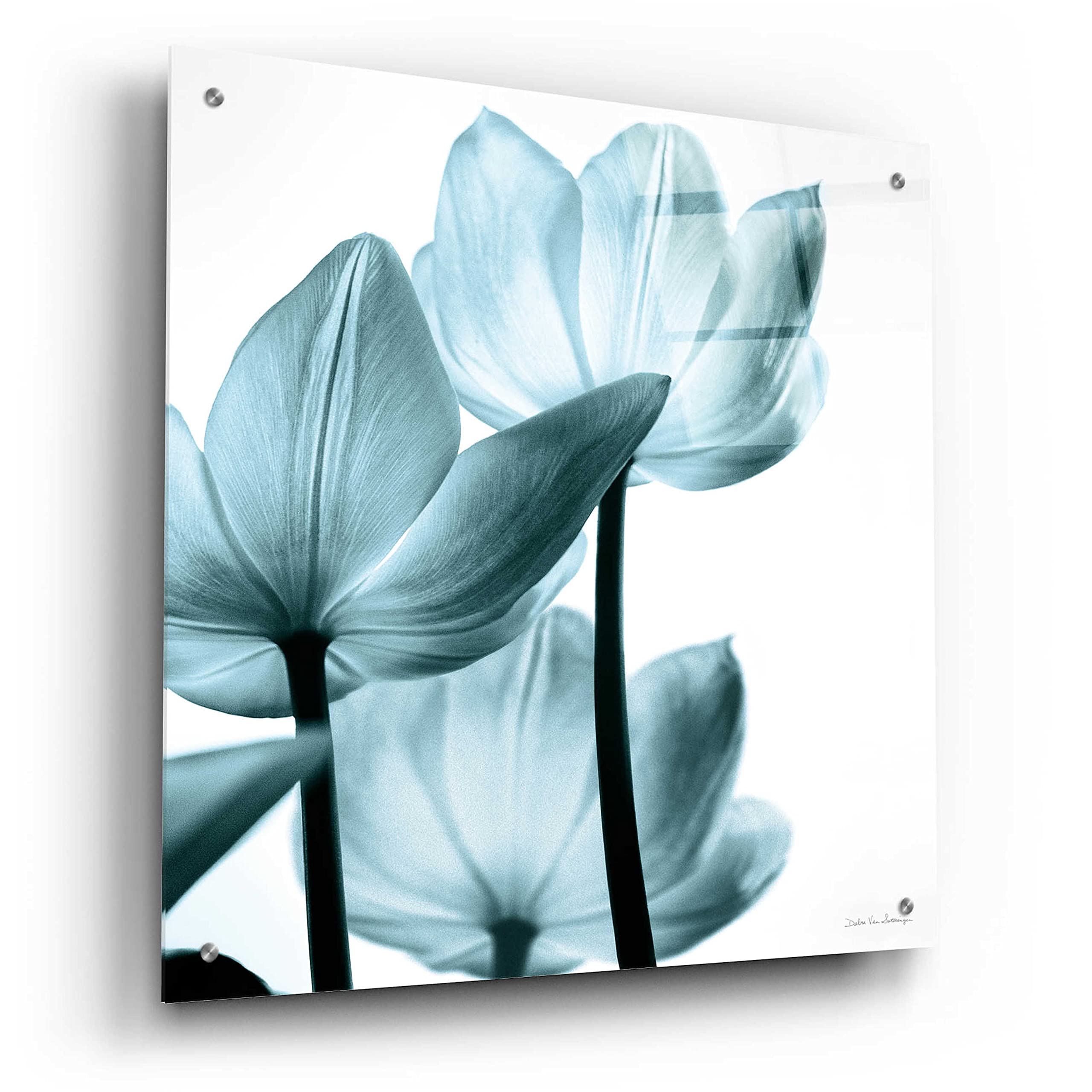 Debra Van Swearingen Translucent Tulips III Aqua Acrylic Glass Wall Art - 24x24 Inch Modern Abstract Floral Painting for Living Room, Bedroom & Office Decor