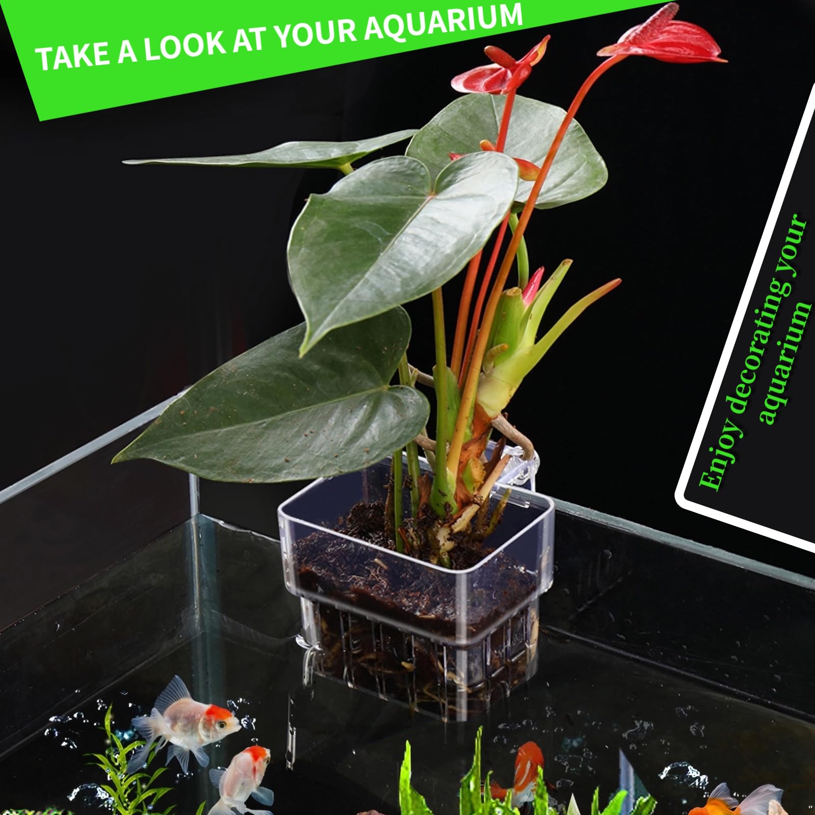 2 PCS Aquarium Plant Holder - Top Hanging Fish Tank Plant Pot with Suction Cups for Aquatic Plants | Perfect for Freshwater & Saltwater Aquarium Decoration