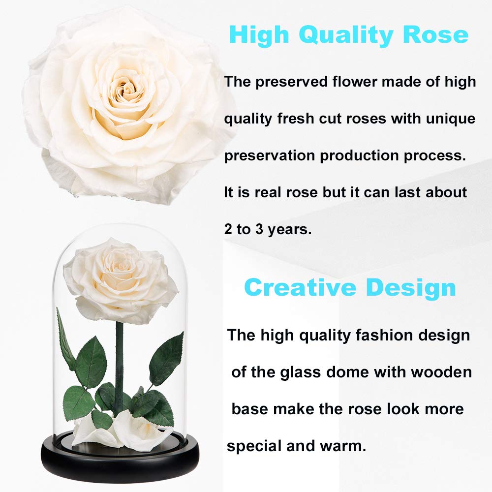 Handmade Real Preserved White Roses in Glass Dome - Never Wither Romantic Gift for Her, Mother's Day, Birthday, Anniversary - Perfect for Home Decor, Wedding Centerpieces & Special Occasions (9 inch)