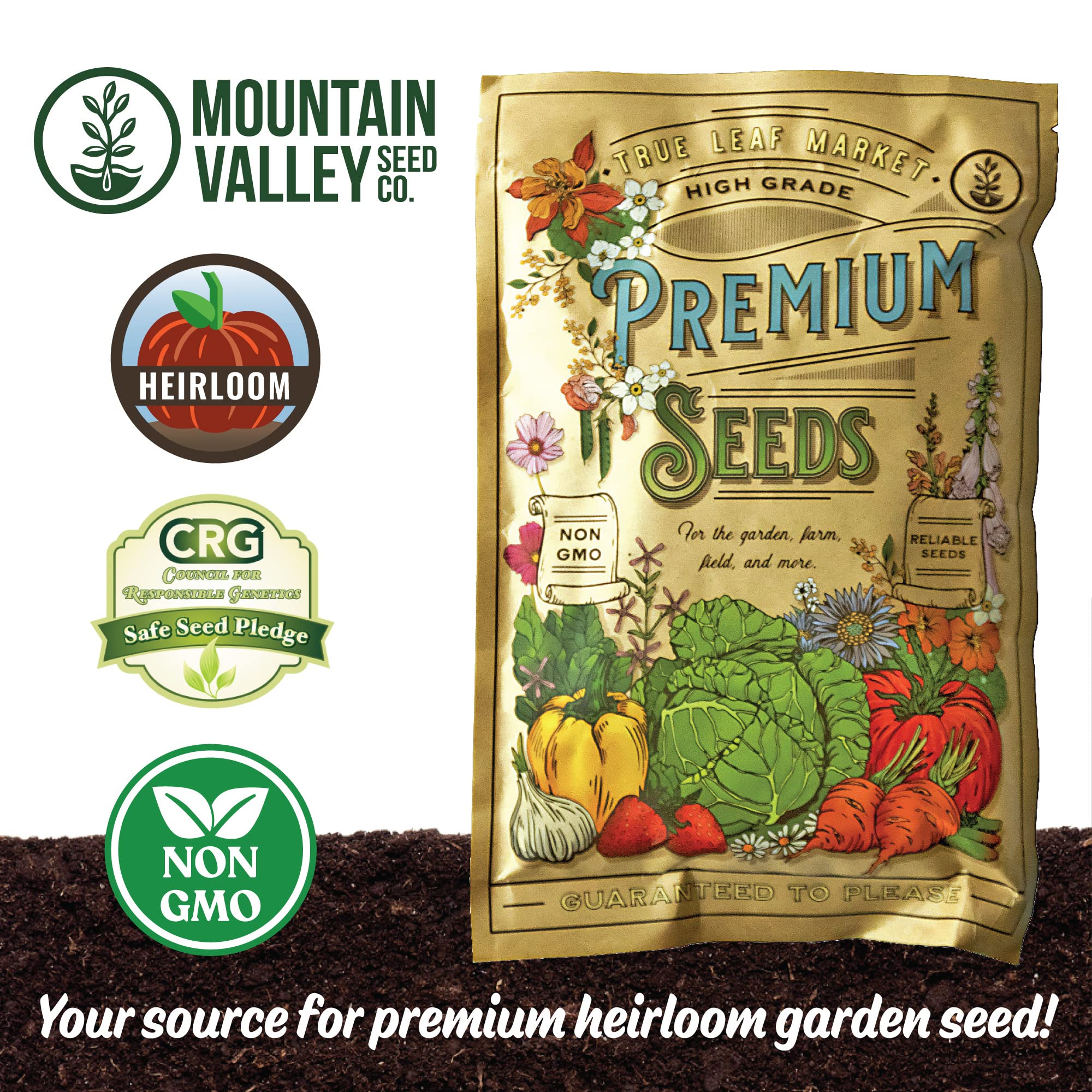 Non-GMO Heirloom Summer Squash Seeds (Cucurbita Pepo) - Vegetable Marrow Green Bush - 5 Lb Pack (~20,000 Seeds) for Farm, Home & Vegetable Gardening - Perfect for Fresh Salads, Grilling & Healthy Recipes