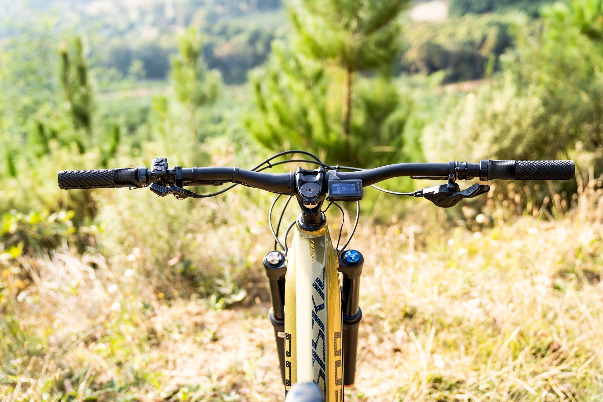 Polygon Siskiu T7E Electric Mountain Bike - 29