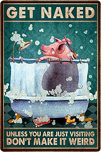 pig