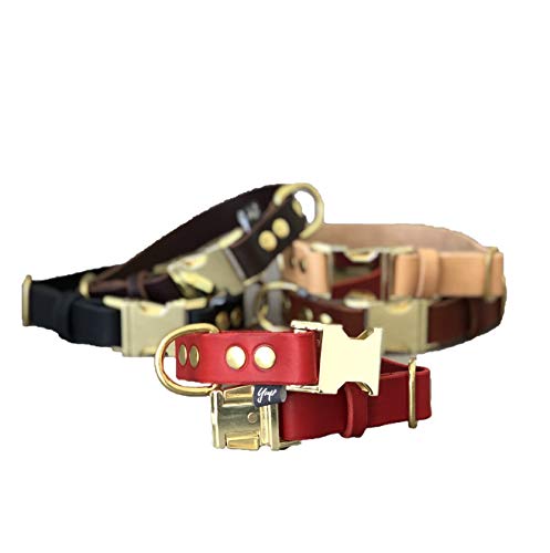 Premium Red Leather Quick Release Dog Collar with Brass Hardware - Adjustable Colorful Pet Collar for Small Medium Large Dogs | Perfect for Daily Walks, Training & Outdoor Adventures