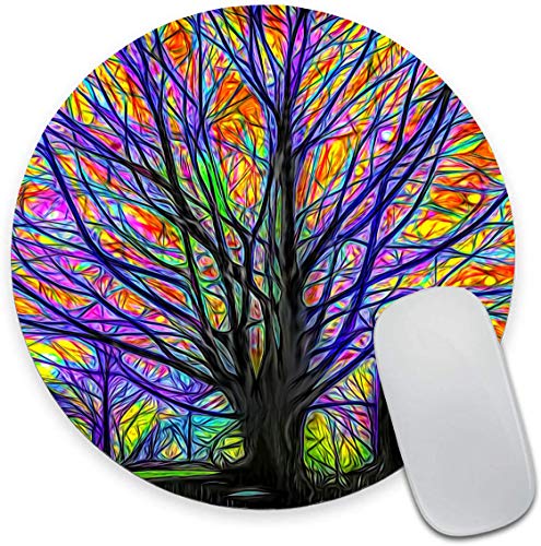 Beautiful Colorful Tree