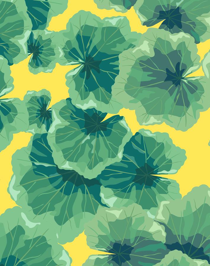 Nathan Turner Geranium Leaves Wallpaper - Floral Daffodil Design for Living Room & Bedroom Decor