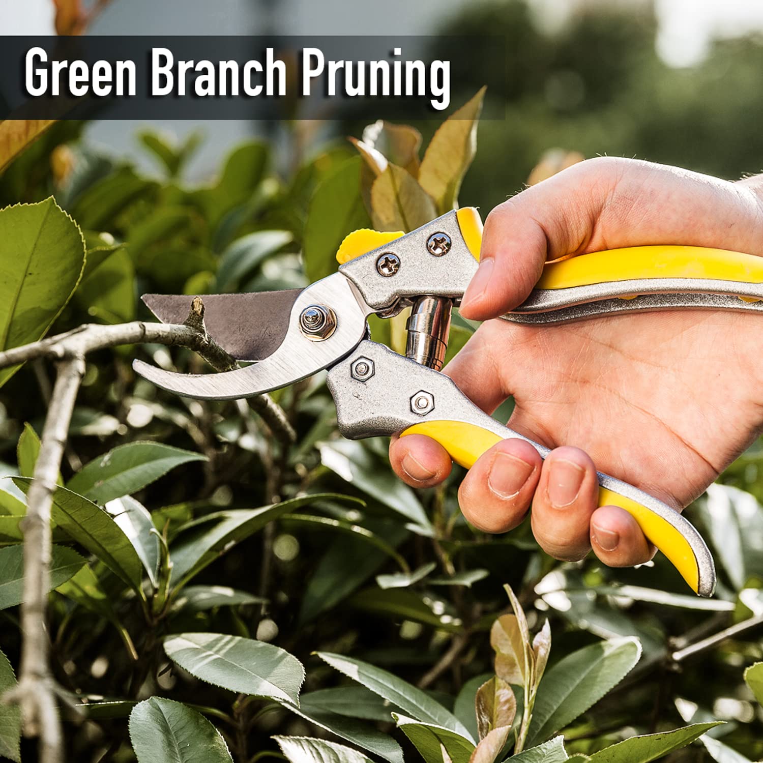 Jardineer Heavy Duty Pruning Shears - Sharp Gardening Clippers for Effortless Trimming | Perfect for Tree Branches, Rose Bushes & Garden Maintenance