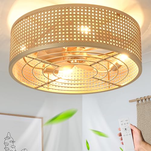 20 Inch Boho Caged Ceiling Fan with Light