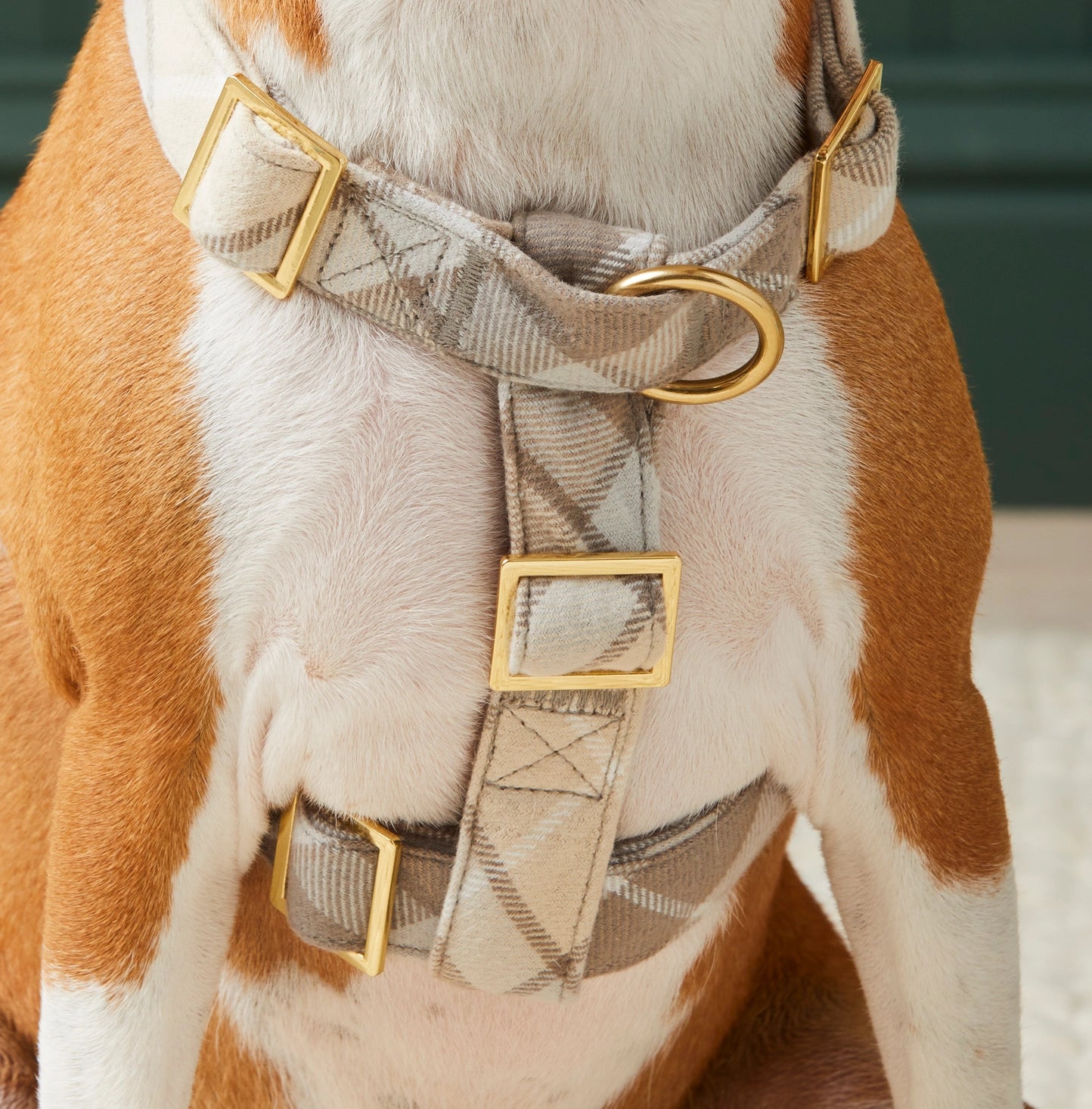 Andover Plaid Dog Harness - Adjustable Pet Harness for Small to Medium Dogs - Comfortable & Stylish for Walking, Hiking, and Outdoor Adventures
