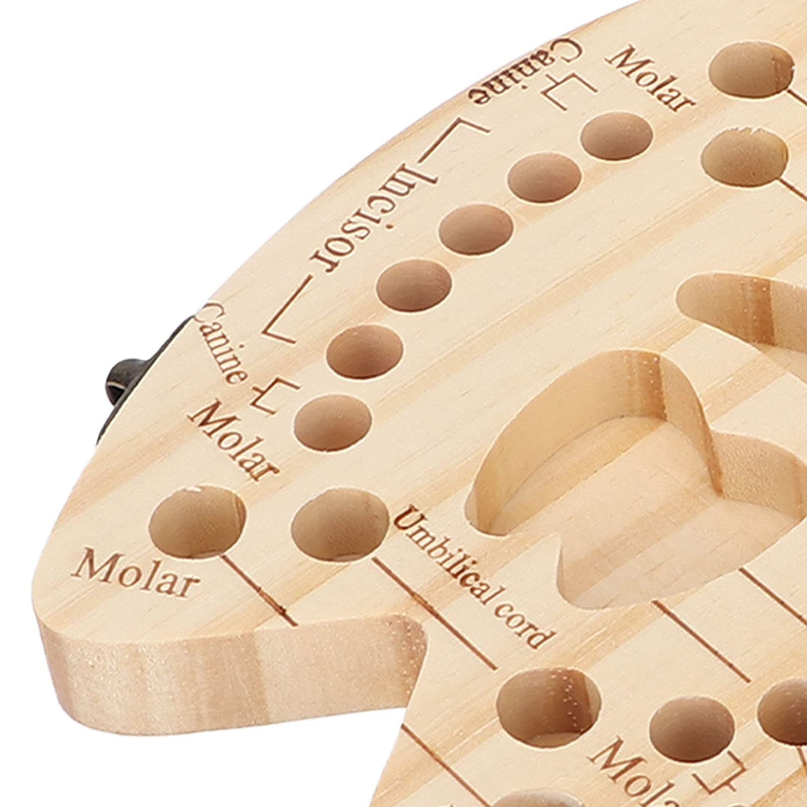 Wooden Baby Tooth Fairy Box - Kids Tooth Storage Container for Lost Teeth Collection - Perfect for Tooth Fairy Gifts & Childhood Memory Keepsakes